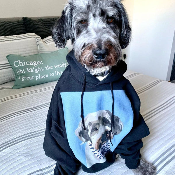Men's / Women's Premium Pet Portrait Hoodie (Black)