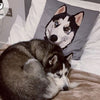 Custom Pet Print Throw Pillow