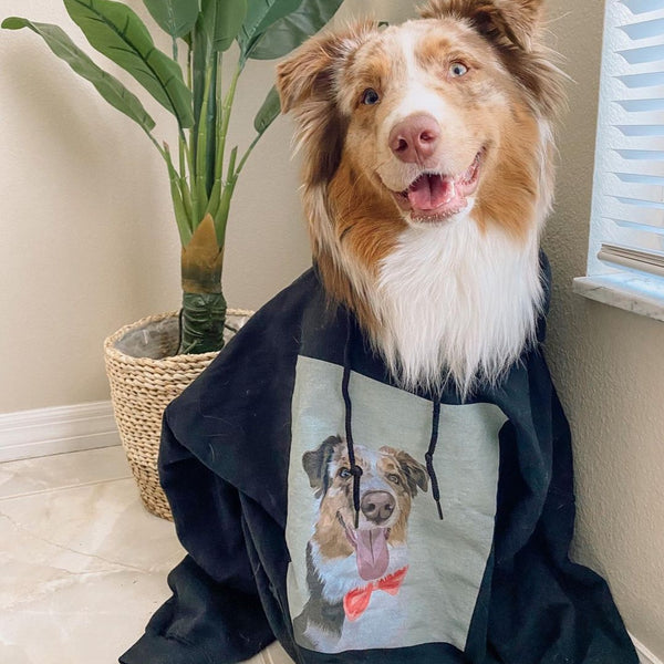 Men's / Women's Premium Pet Portrait Hoodie (Black)