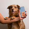 Premium Pet Portrait Phone Case