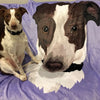Custom Pet Print Fleece Blanket