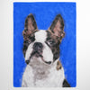 Color Sketch Pet Print Fleece Blanket