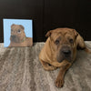 Cartoon Pet Portrait Canvas