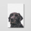 Color Sketch Pet Print Canvas