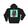 Men's / Women's Custom Pet Print Hoodie (Black)