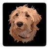 Custom Pet Print Refrigerator Magnet