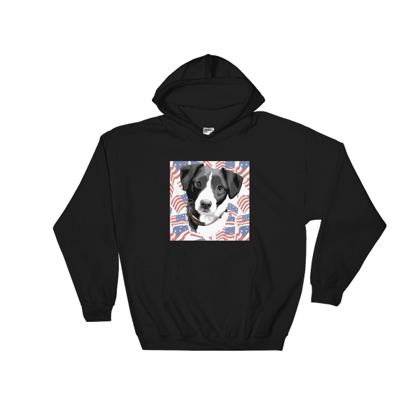 Unisex Independence Day Pet Print Hoodie (Black)
