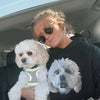 Men's / Women's Custom Pet Print Hoodie (Black)