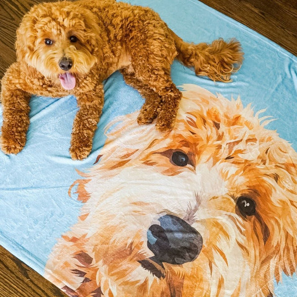 Printy shop pets blanket