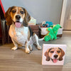 Custom Pet Portrait Canvas