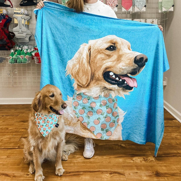 Pet photo on online blanket