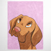 Cartoon Pet Portrait Fleece Blanket