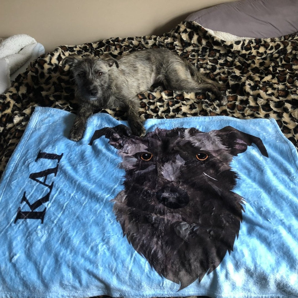 Printy pets hot sale blanket