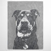 Monochrome Sketch Pet Print Fleece Blanket
