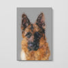 Color Sketch Pet Print Canvas