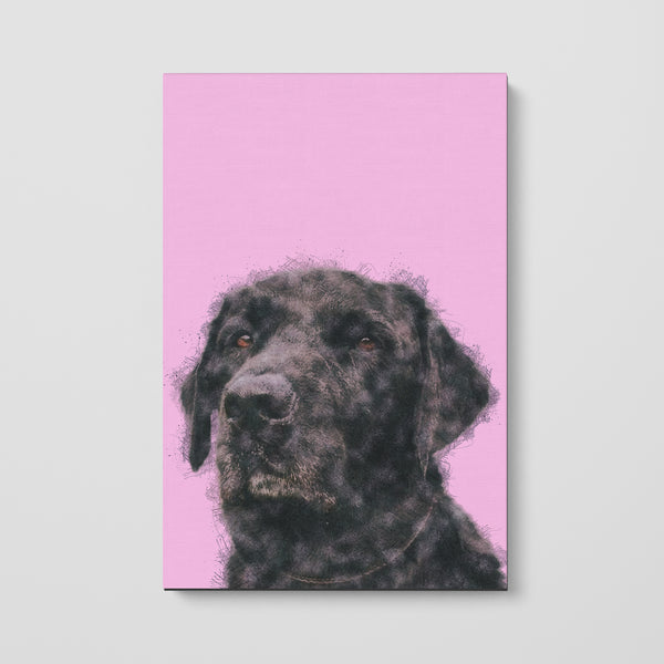 Color Sketch Pet Print Canvas