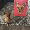 Custom Pet Portrait Canvas