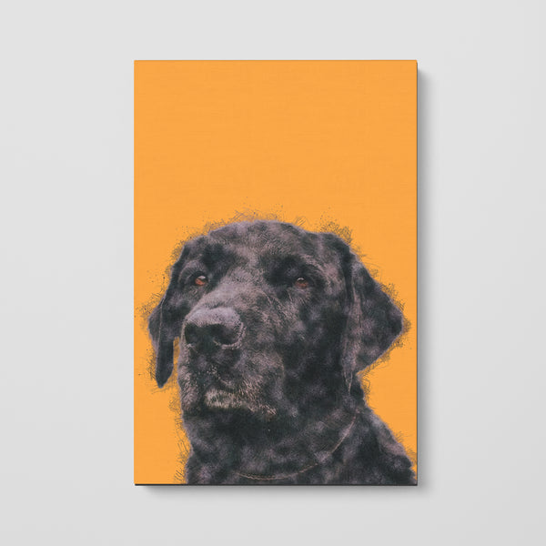 Color Sketch Pet Print Canvas