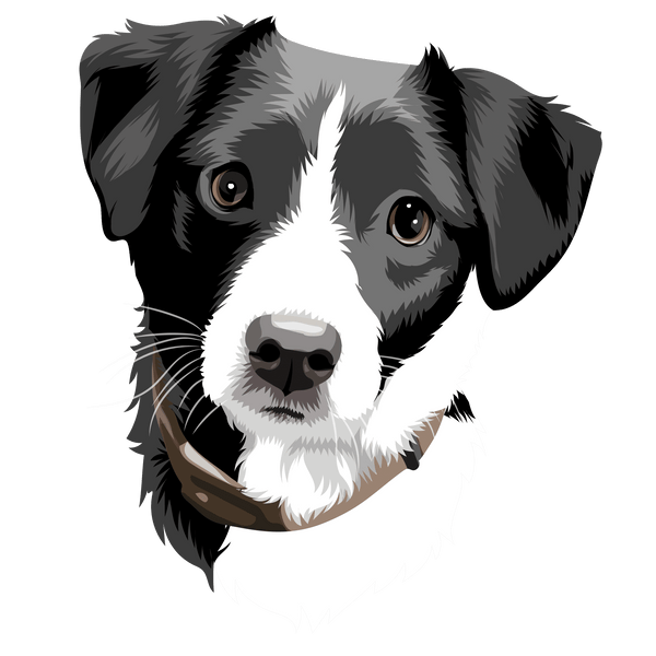 Digital Art File (Great for Phone Wallpapers) | Printy Pets