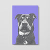 Monochrome Sketch Pet Print Canvas