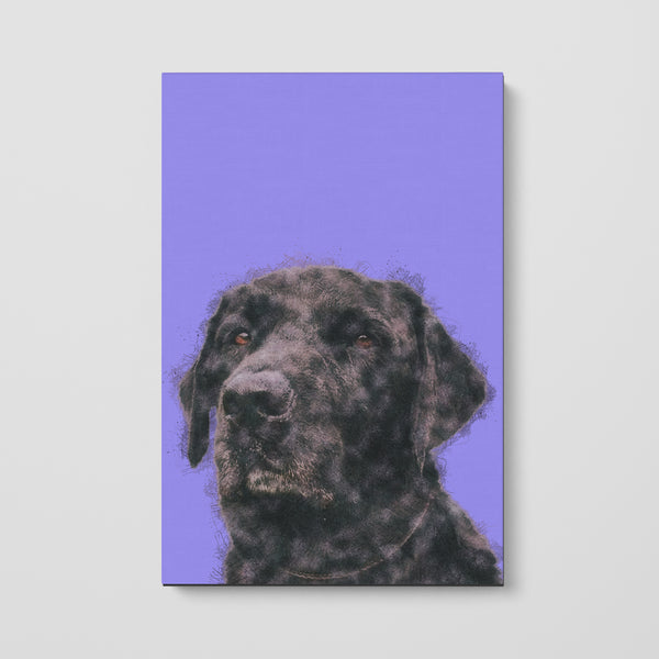 Color Sketch Pet Print Canvas