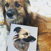Custom Pet Portrait Canvas
