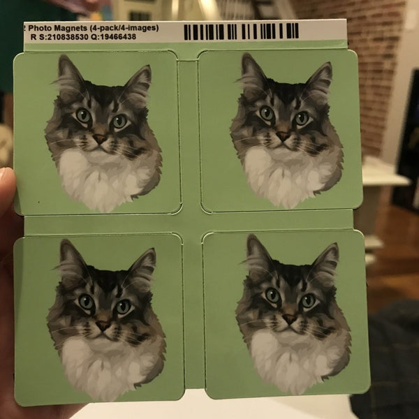 Custom Pet Print Refrigerator Magnet