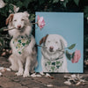 Premium Pet Portrait Canvas