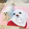 Premium Pet Portrait Blanket