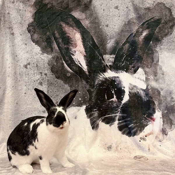 Watercolor Pet Print Fleece Blanket