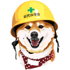 Digital Art File of Your Pet