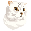 Digital Art File of Your Pet