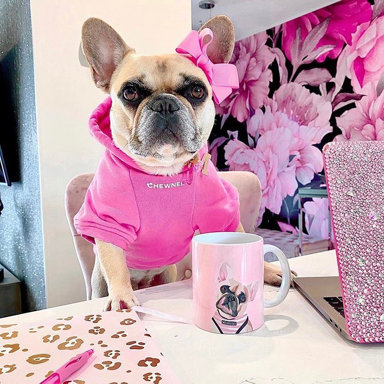 Print Your Pet on a Blanket Phone Case Canvas and More Printy Pets