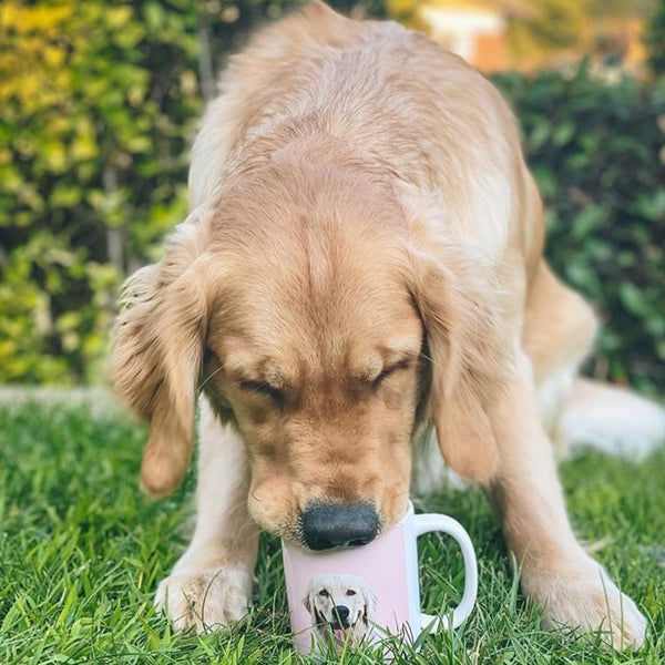 Premium Pet Portrait Mug